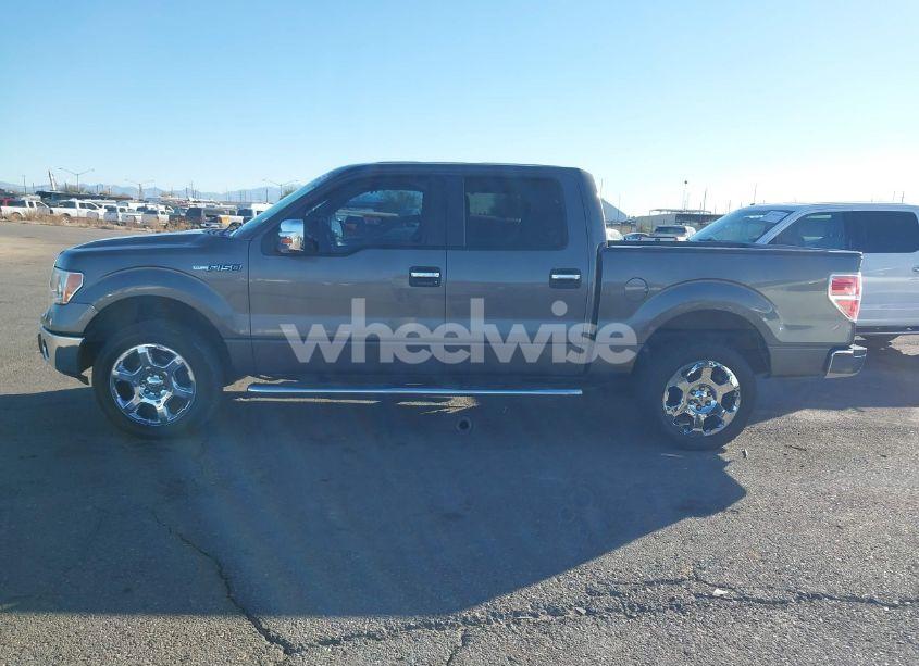 Photo 14 of 2013 Ford F-150 XLT (VIN 1FTFW1EF1DKD17811)