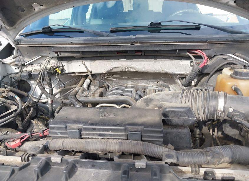 Photo 10 of 2013 Ford F-150 XL (VIN 1FTFW1EF1DKF98847)