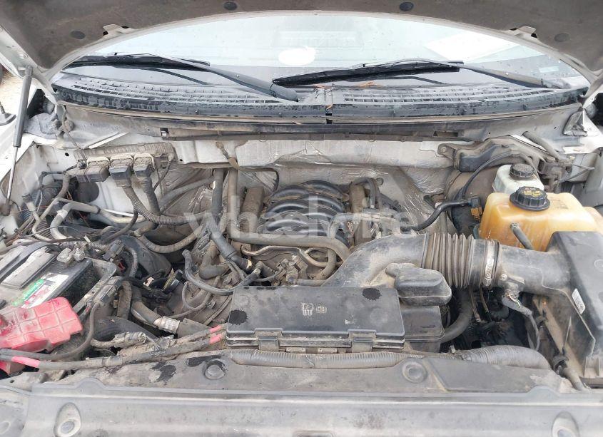 Photo 10 of 2013 Ford F-150 XLT (VIN 1FTFW1EF1DKG26288)