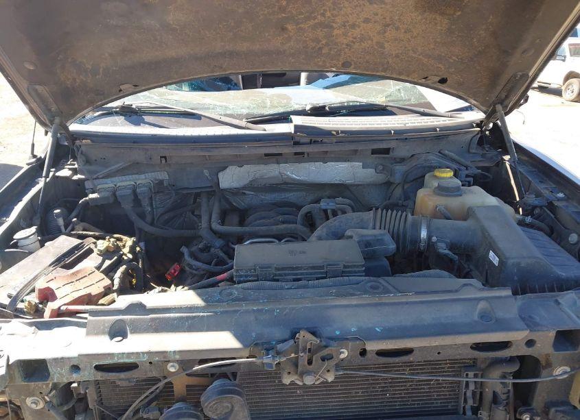 Photo 10 of 2014 Ford F-150 XLT (VIN 1FTFW1EF1EKG56425)