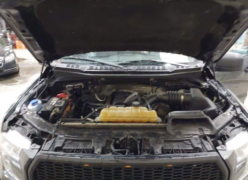 Photo 10 of 2016 Ford F-150 XLT (VIN 1FTFW1EF1GKF28236)