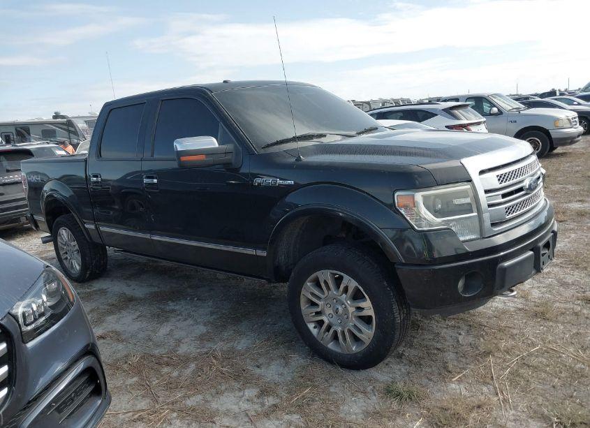 2013 Ford F-150 PLATINUM (VIN 1FTFW1EF2DFB29890) main photo