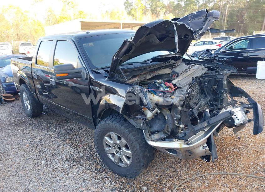 2013 Ford F-150 XLT (VIN 1FTFW1EF2DKE49136) main photo