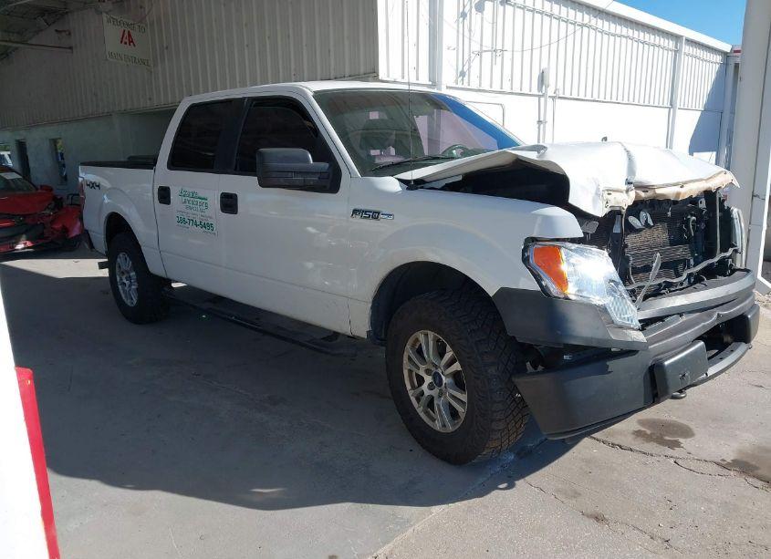 2013 Ford F-150 XL (VIN 1FTFW1EF2DKG18832) main photo