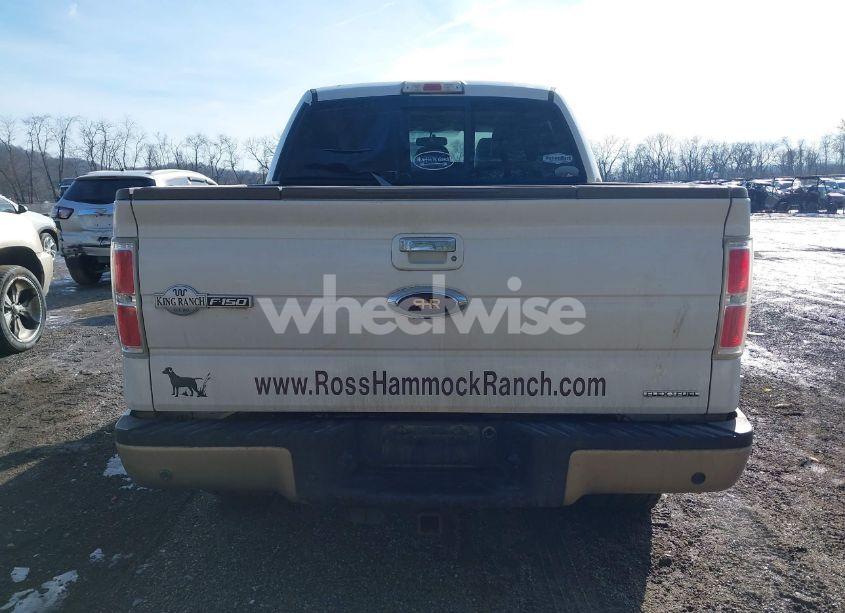 Photo 17 of 2013 Ford F-150 KING RANCH (VIN 1FTFW1EF2DKG19124)