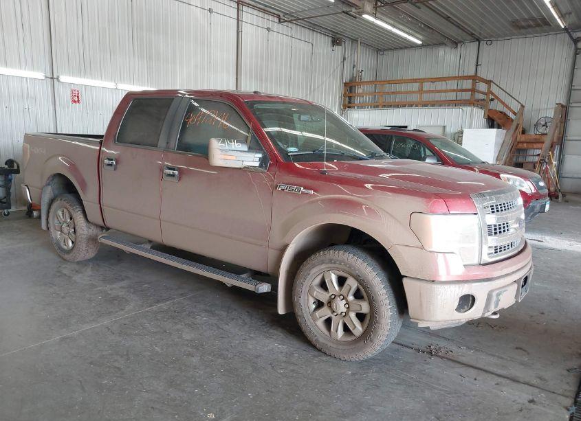 2014 Ford F-150 XLT (VIN 1FTFW1EF2EKG58099) main photo