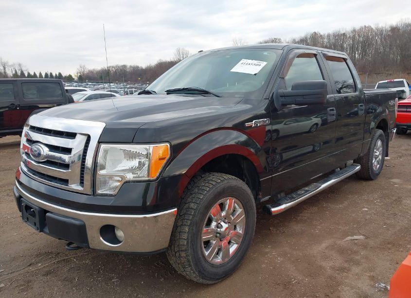 Photo 14 of 2011 Ford F-150 XLT (VIN 1FTFW1EF3BFA04944)