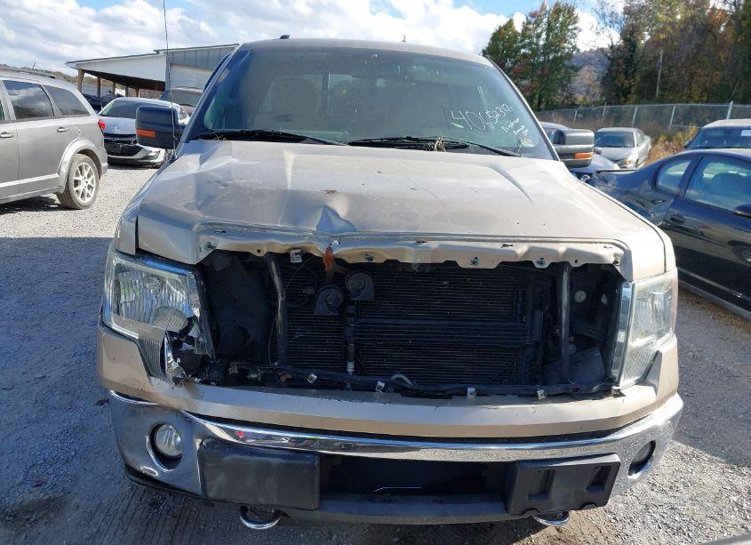 Photo 13 of 2012 Ford F-150 XLT (VIN 1FTFW1EF3CFC54086)