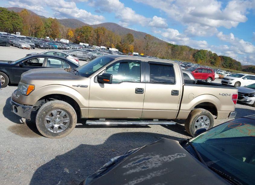 Photo 15 of 2012 Ford F-150 XLT (VIN 1FTFW1EF3CFC54086)