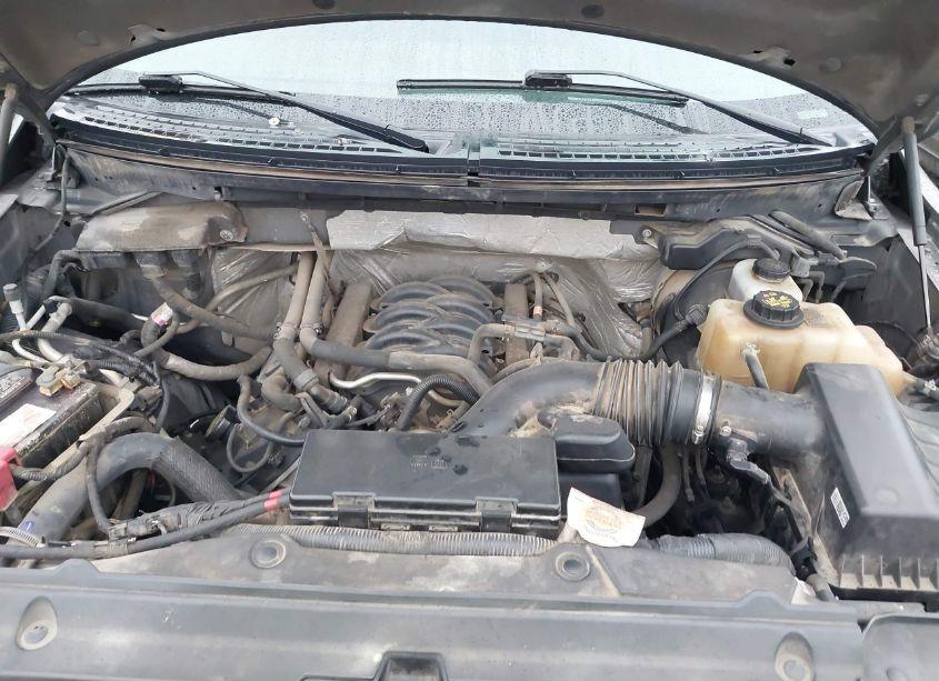 Photo 10 of 2012 Ford F-150 XLT (VIN 1FTFW1EF3CKE05841)