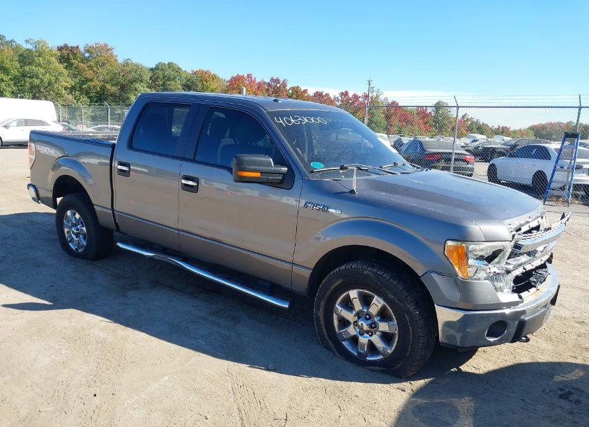 2013 Ford F-150 XLT (VIN 1FTFW1EF3DFD66050) main photo