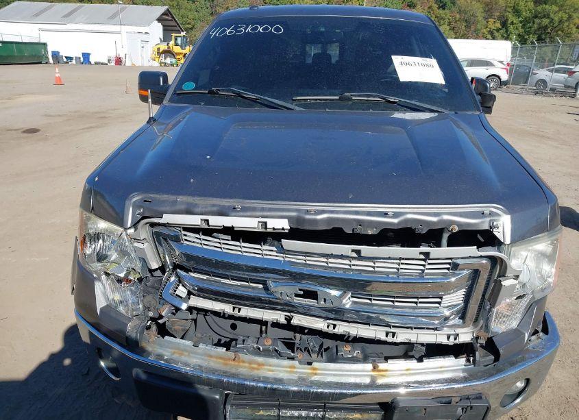 Photo 12 of 2013 Ford F-150 XLT (VIN 1FTFW1EF3DFD66050)