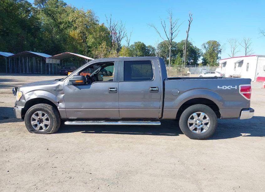 Photo 14 of 2013 Ford F-150 XLT (VIN 1FTFW1EF3DFD66050)