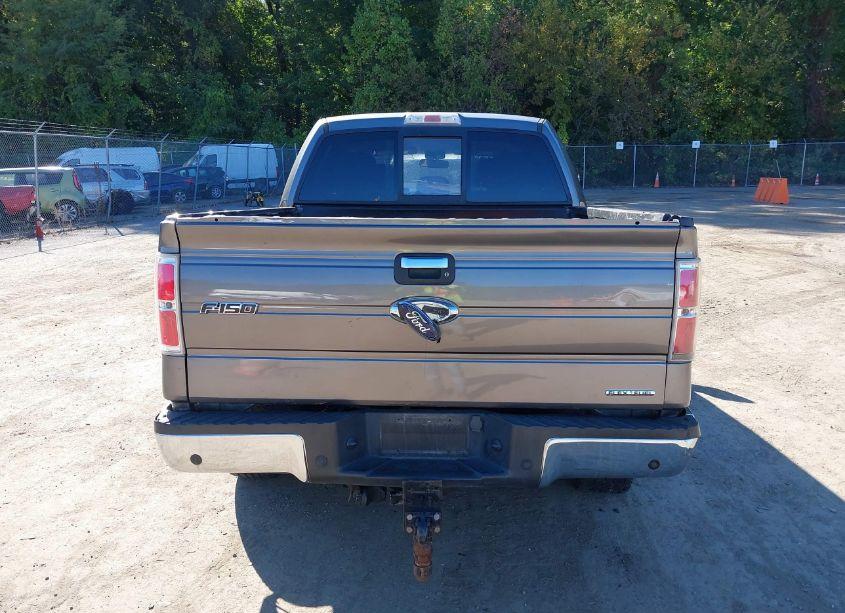 Photo 16 of 2013 Ford F-150 XLT (VIN 1FTFW1EF3DFD66050)