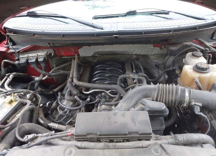 Photo 10 of 2013 Ford F-150 XLT (VIN 1FTFW1EF3DKD31385)