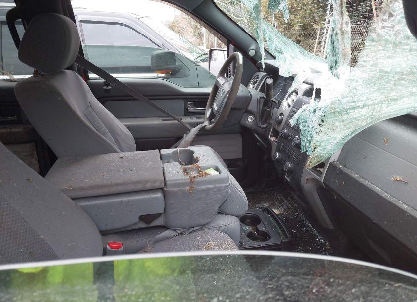 Photo 5 of 2013 Ford F-150 XLT (VIN 1FTFW1EF3DKD31385)