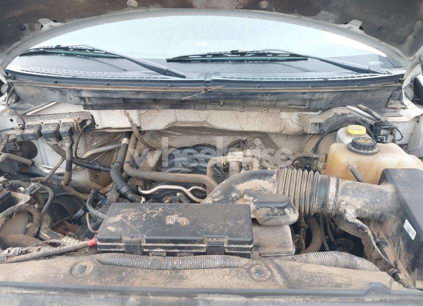 Photo 10 of 2014 Ford F-150 FX4 (VIN 1FTFW1EF3EFA23210)