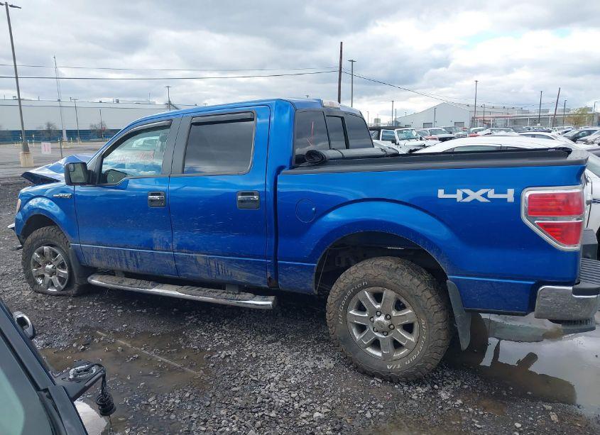 Photo 14 of 2014 Ford F-150 XLT (VIN 1FTFW1EF3EFA43277)