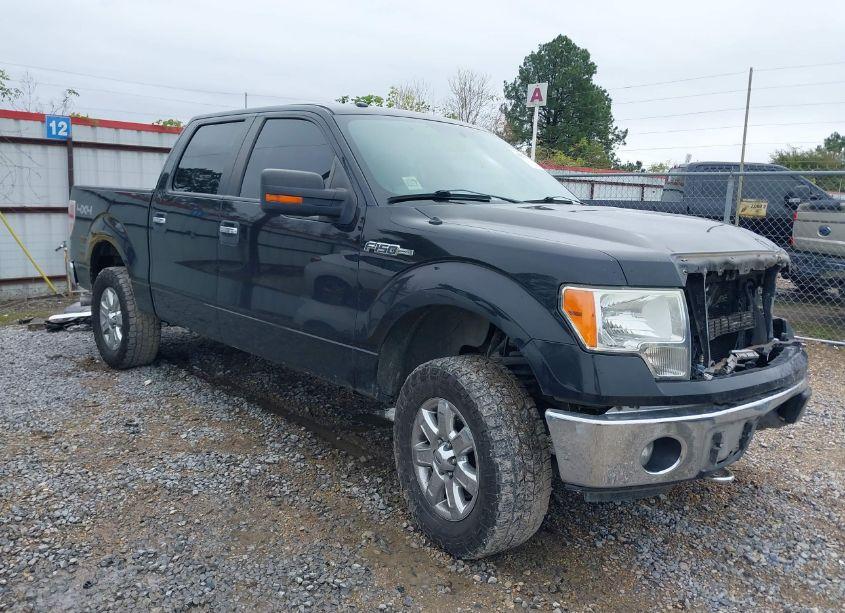 2014 Ford F-150 XLT (VIN 1FTFW1EF3EKD01675) main photo