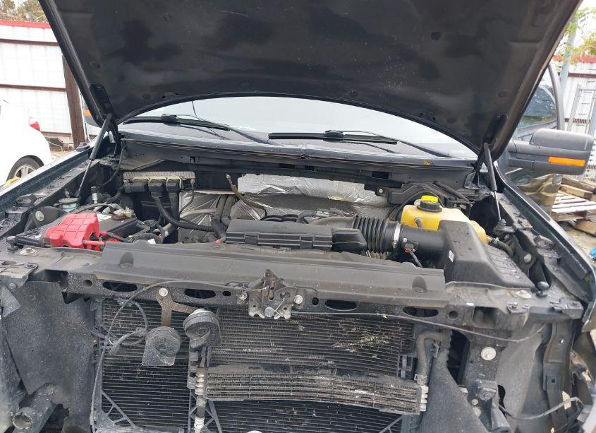 Photo 10 of 2014 Ford F-150 XLT (VIN 1FTFW1EF3EKD01675)