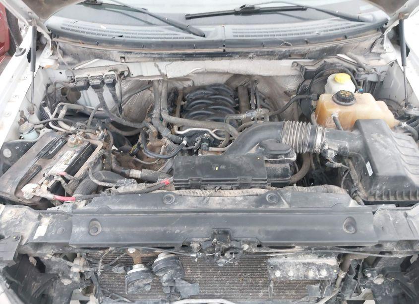 Photo 10 of 2014 Ford F-150 XL (VIN 1FTFW1EF3EKG52683)