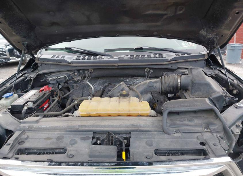 Photo 10 of 2015 Ford F-150 XLT (VIN 1FTFW1EF3FFA44236)