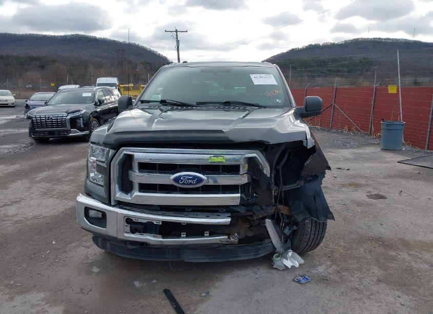 Photo 12 of 2015 Ford F-150 XLT (VIN 1FTFW1EF3FFA44236)