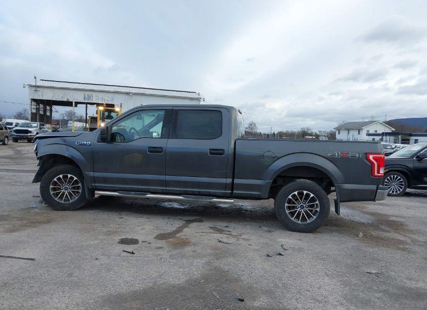 Photo 14 of 2015 Ford F-150 XLT (VIN 1FTFW1EF3FFA44236)