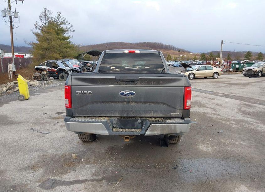 Photo 16 of 2015 Ford F-150 XLT (VIN 1FTFW1EF3FFA44236)