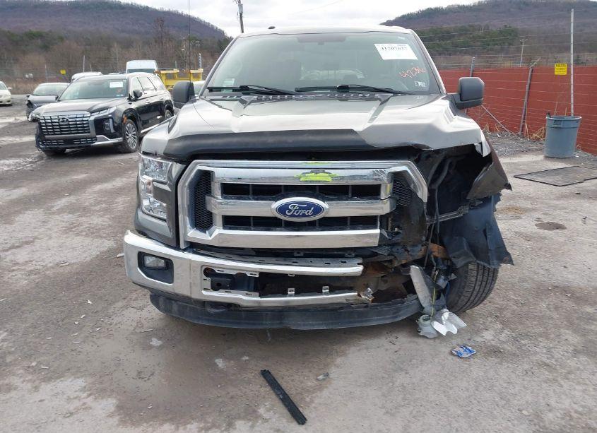 Photo 6 of 2015 Ford F-150 XLT (VIN 1FTFW1EF3FFA44236)