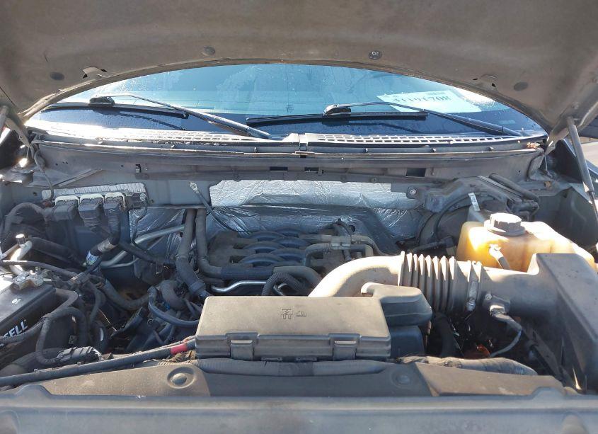 Photo 10 of 2011 Ford F-150 XLT (VIN 1FTFW1EF4BFA08243)