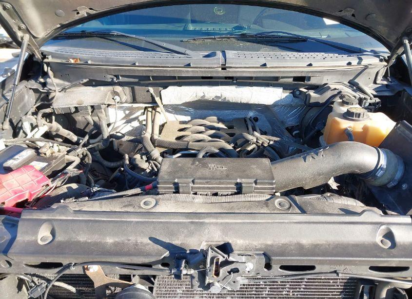 Photo 10 of 2011 Ford F-150 FX4 (VIN 1FTFW1EF4BFC40762)