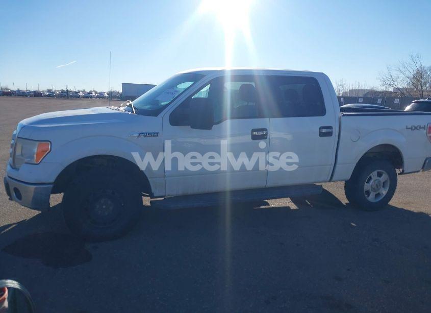 Photo 14 of 2011 Ford F-150 XLT (VIN 1FTFW1EF4BKD06265)