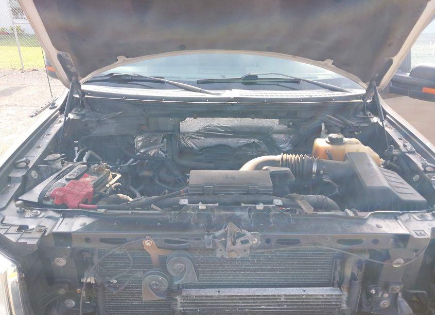 Photo 10 of 2011 Ford F-150 XLT (VIN 1FTFW1EF4BKD30503)