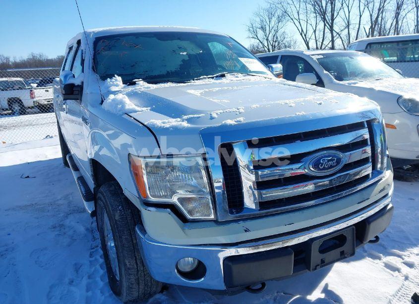 2011 Ford F-150 XLT (VIN 1FTFW1EF4BKD86568) main photo