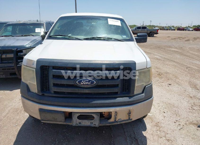 Photo 12 of 2011 Ford F-150 XL (VIN 1FTFW1EF4BKE10965)