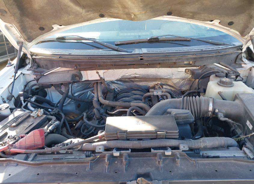 Photo 10 of 2012 Ford F-150 XLT (VIN 1FTFW1EF4CFA32740)