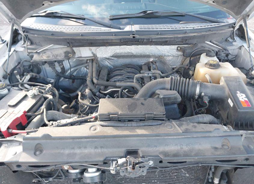 Photo 10 of 2012 Ford F-150 XLT (VIN 1FTFW1EF4CKD11192)