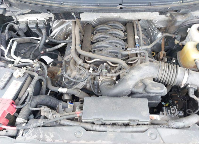 Photo 10 of 2013 Ford F-150 XLT (VIN 1FTFW1EF4DFB58310)