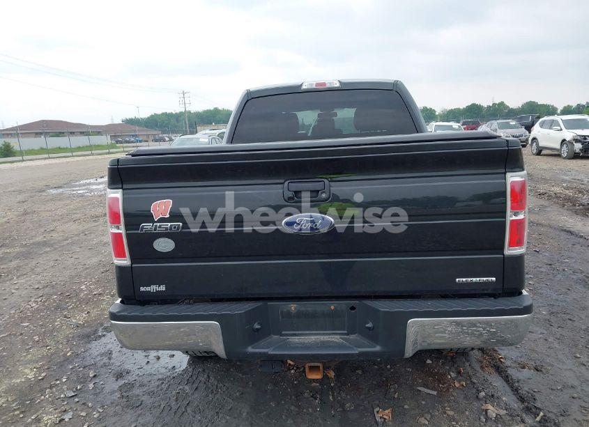 Photo 16 of 2013 Ford F-150 XLT (VIN 1FTFW1EF4DFB58310)