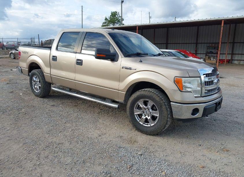 2013 Ford F-150 XLT (VIN 1FTFW1EF4DKD34375) main photo
