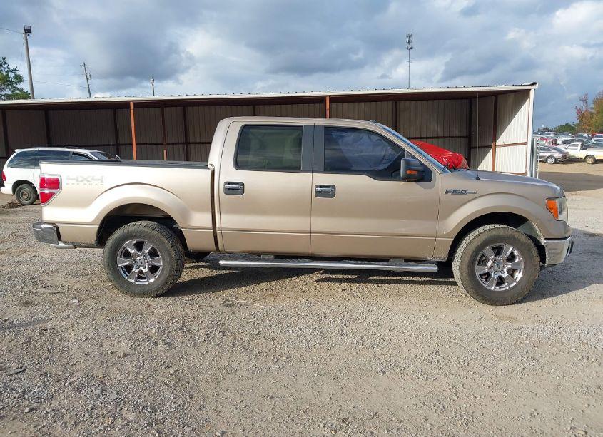 Photo 13 of 2013 Ford F-150 XLT (VIN 1FTFW1EF4DKD34375)