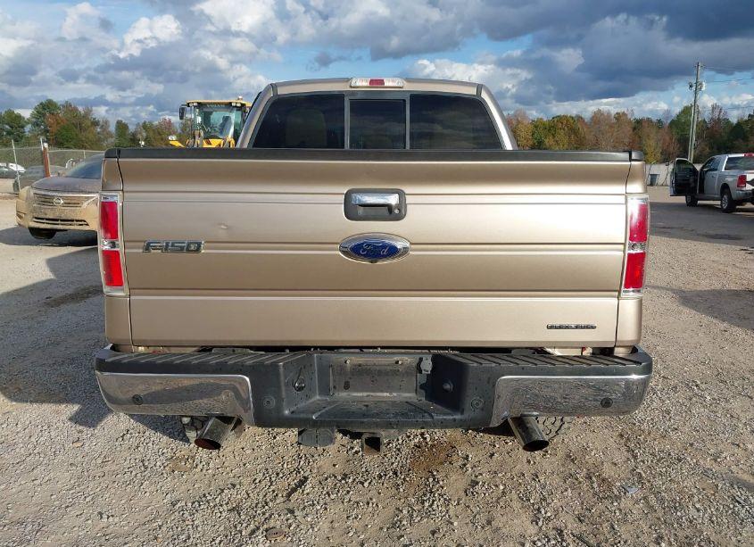 Photo 16 of 2013 Ford F-150 XLT (VIN 1FTFW1EF4DKD34375)
