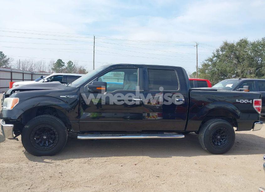 Photo 14 of 2013 Ford F-150 XLT (VIN 1FTFW1EF4DKE02061)