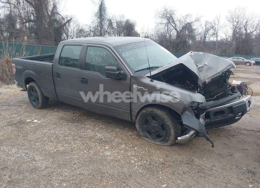 2013 Ford F-150 XL (VIN 1FTFW1EF4DKE14775) main photo