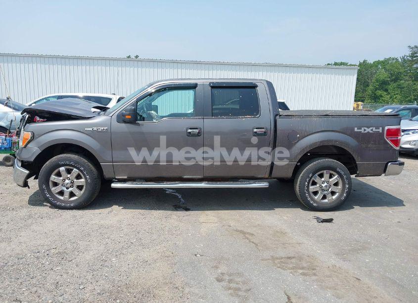 Photo 14 of 2014 Ford F-150 XLT (VIN 1FTFW1EF4EFA40162)