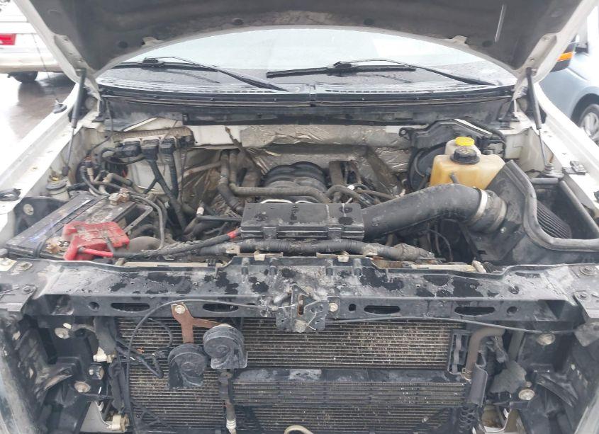 Photo 10 of 2014 Ford F-150 XLT (VIN 1FTFW1EF4EFC78416)