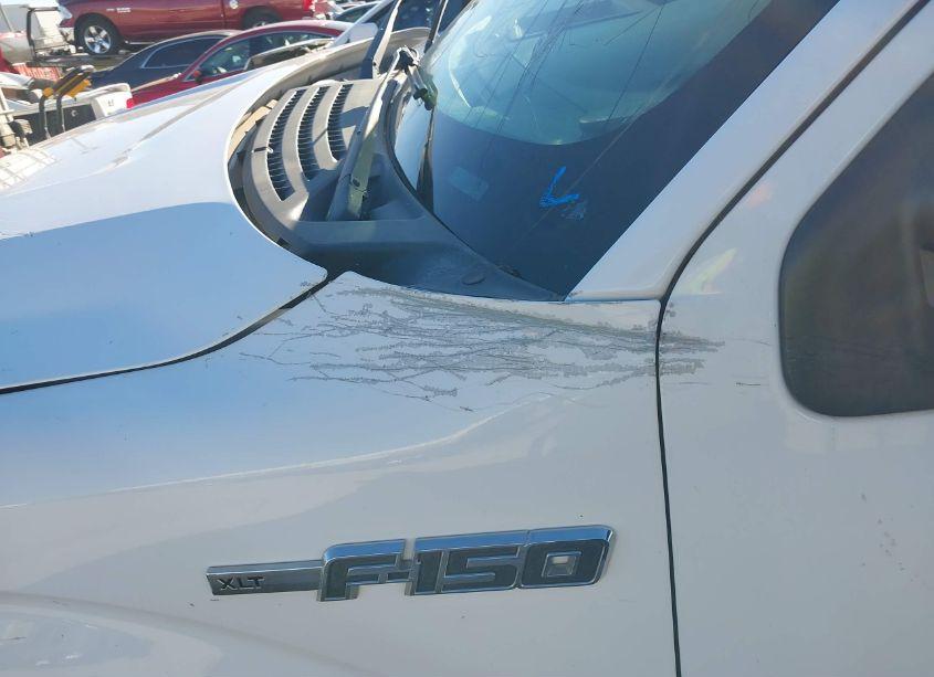 Photo 21 of 2014 Ford F-150 XLT (VIN 1FTFW1EF4EKF45934)