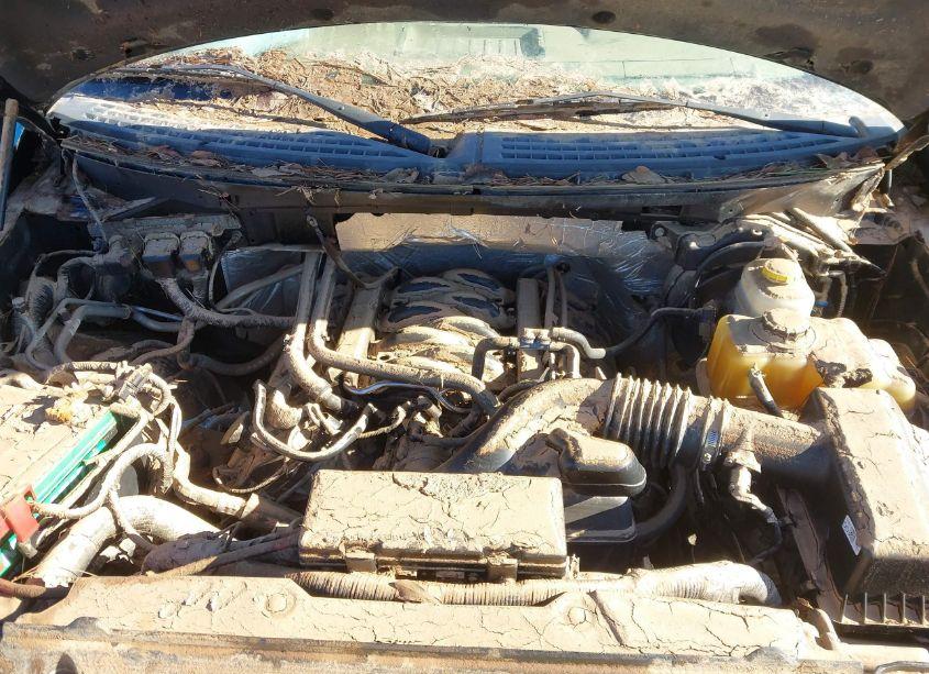 Photo 10 of 2014 Ford F-150 XLT (VIN 1FTFW1EF4EKG40798)