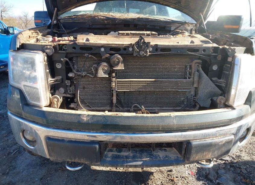 Photo 12 of 2014 Ford F-150 XLT (VIN 1FTFW1EF4EKG40798)